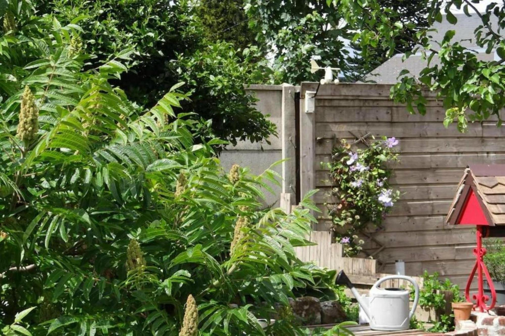 Clos Des Paquerettes : Maison Avec Jardin Privatif Yvetot Bagian luar foto
